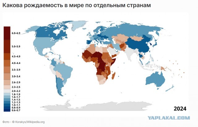 «Это путь к вымиранию нации»: депутат Госдумы раскритиковал выплаты матерям-одиночкам и призвал помогать мужчинам
