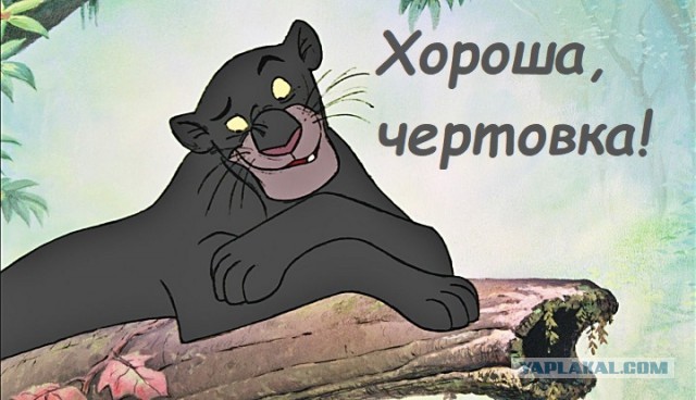 Голос мамы леопарда.