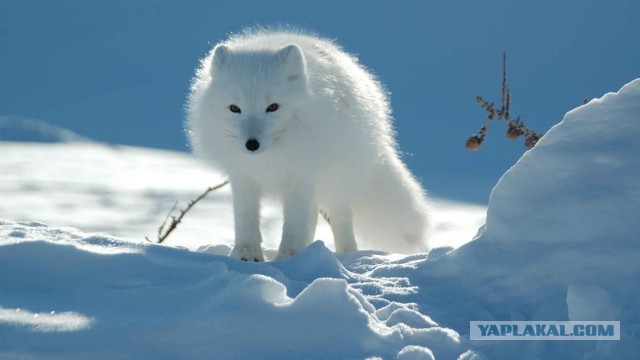 Президент США Дональд Трамп обратился к американцам и предупредил их о трудных временах