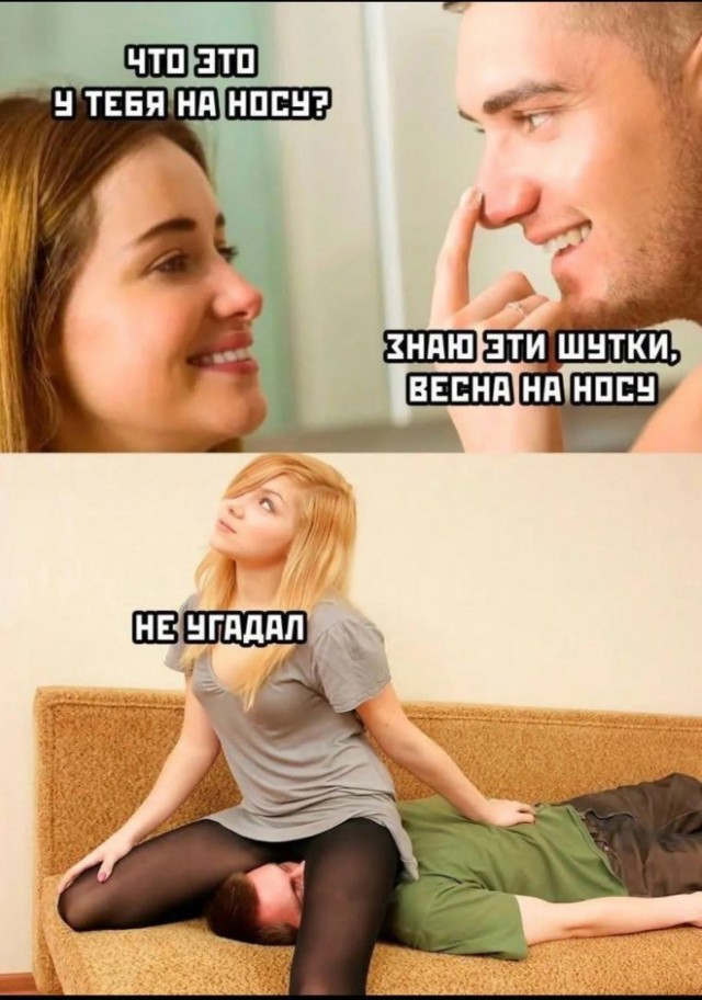 Веселые картинки в пятницу (14.11)