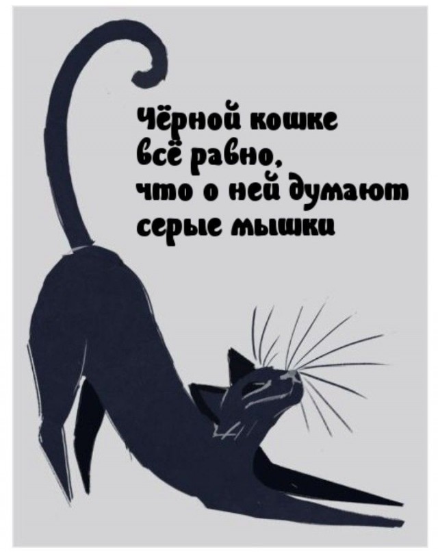 Прикольные и просто красивые картинки 18.11.2025