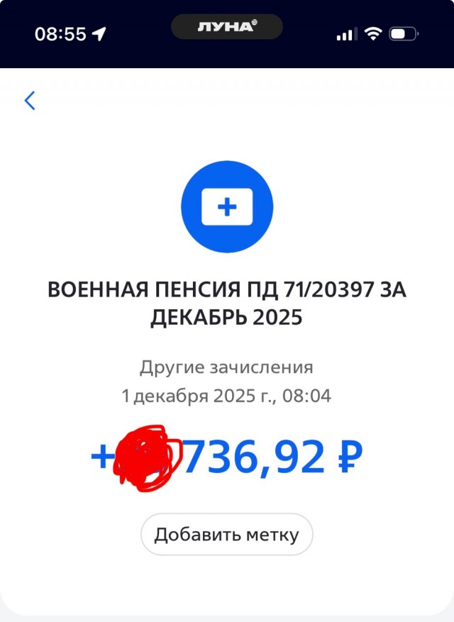 Кто из россиян получит две пенсии в декабре