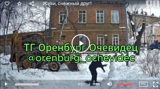 Живи, снежный друг!