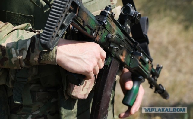 В кабмине одобрили привлечение армии для защиты арестованных за границей