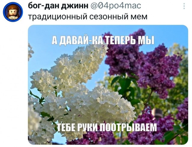 Цветёт?