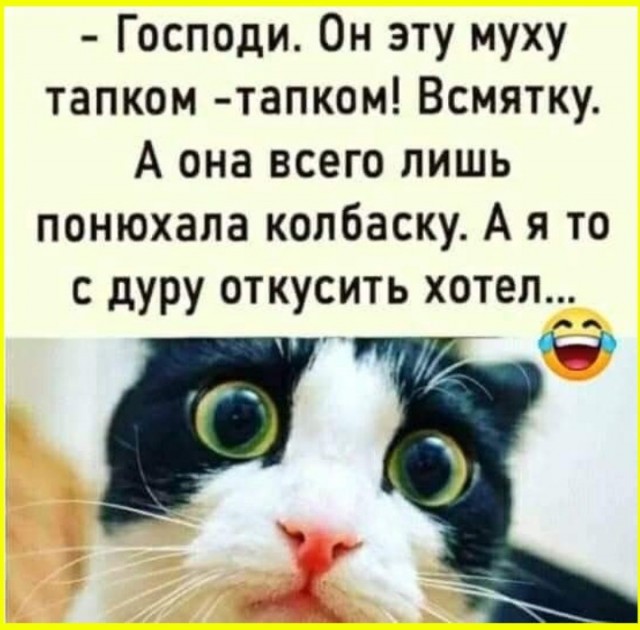 Так себе картинки 04.07.26