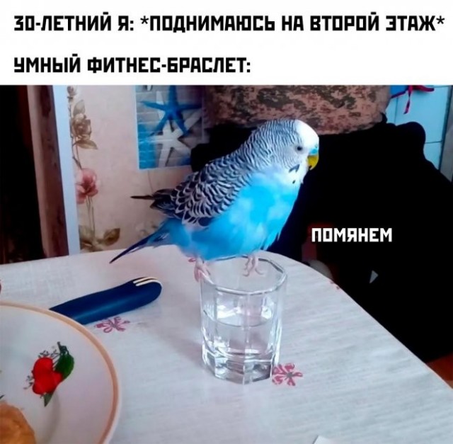 Картинки для деградации 260 (разной степени свежести)