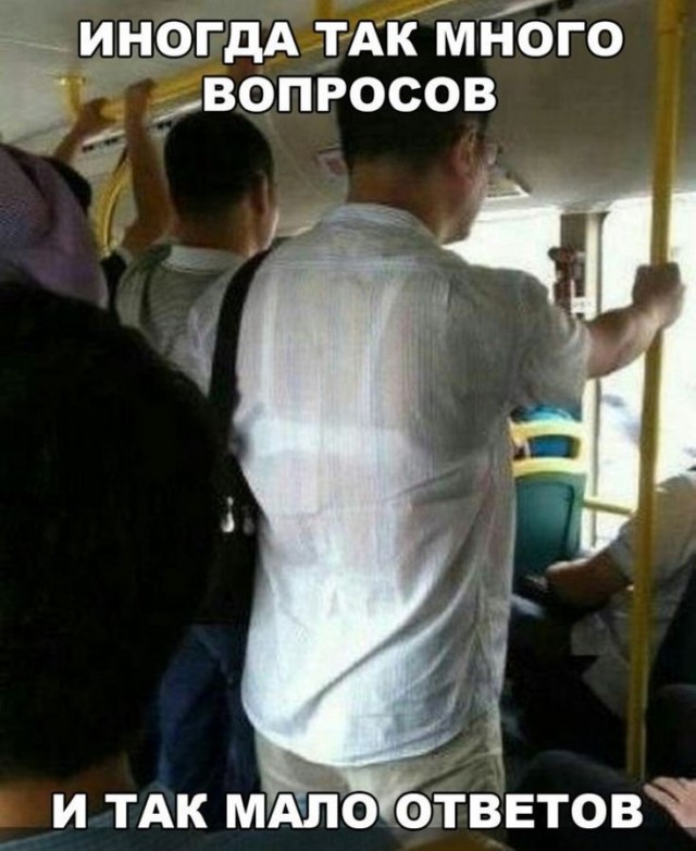 Веселые картинки в пятницу (21.08)