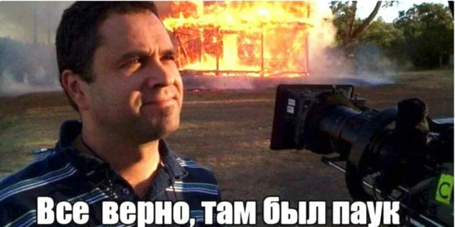Турист случайно сжёг виллу на Бали, пытаясь избавиться от паука