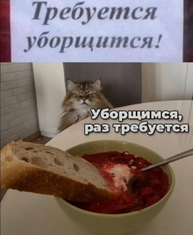 Если жизнь дала тебе лимон — сделай лимонад. Если жизнь дала тебе помидор — не пытайся сделать лимонад