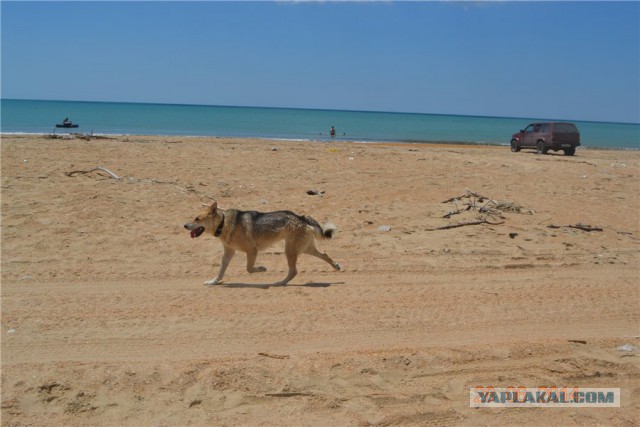 Выезд на море