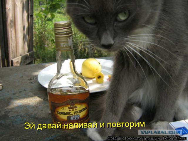 Чёрт, чёрт, чёрт!