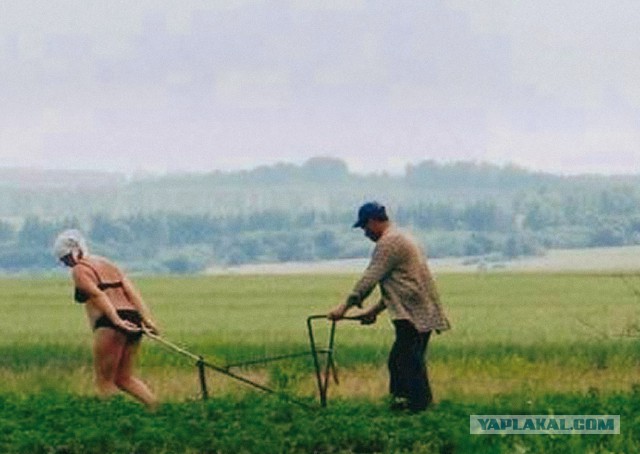 Это Россия, детка!
