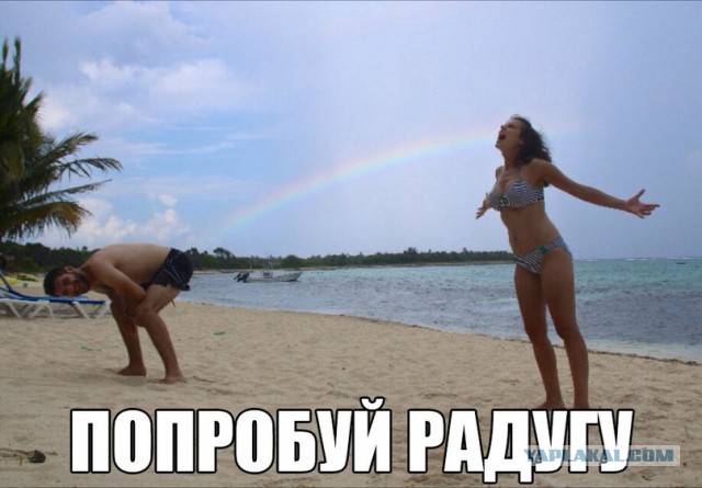Подборка весёлых картинок
