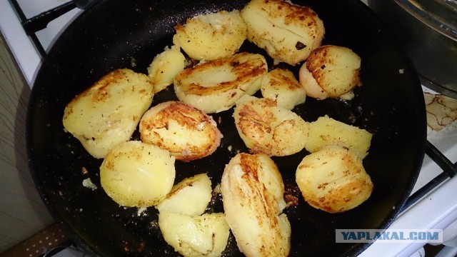 пивная фря
