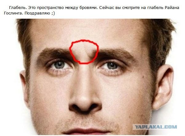 20 вещей, названия которых были нам неизвестны