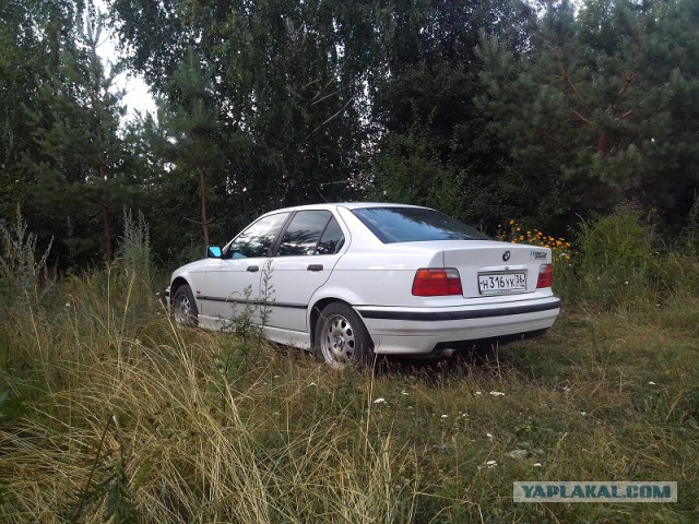 Идеальный авто по версии ЯП