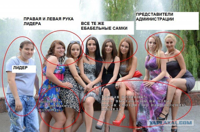 В мире животных