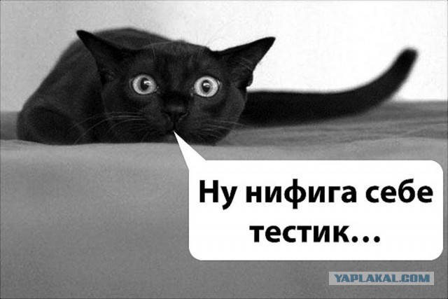 Проверка на IQ