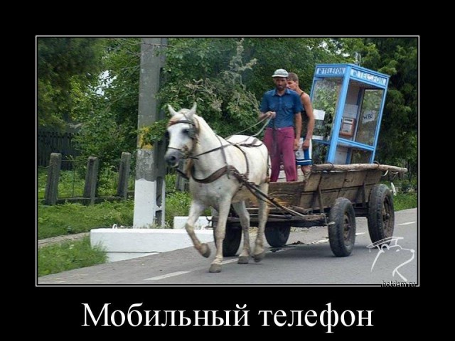 Смешные комментарии из соцсетей