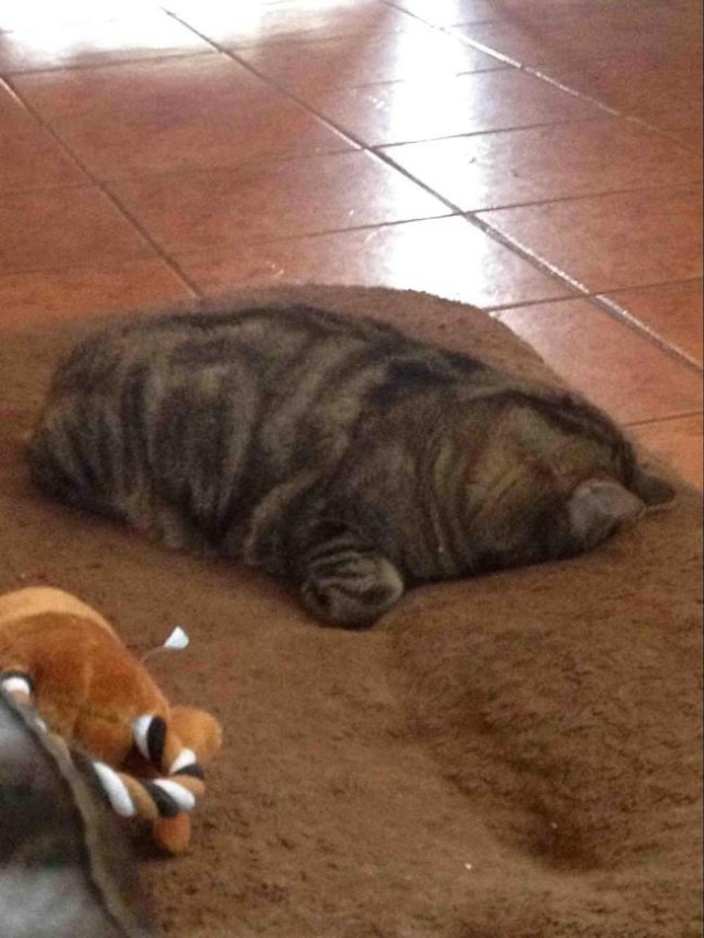 Мимимишности пост