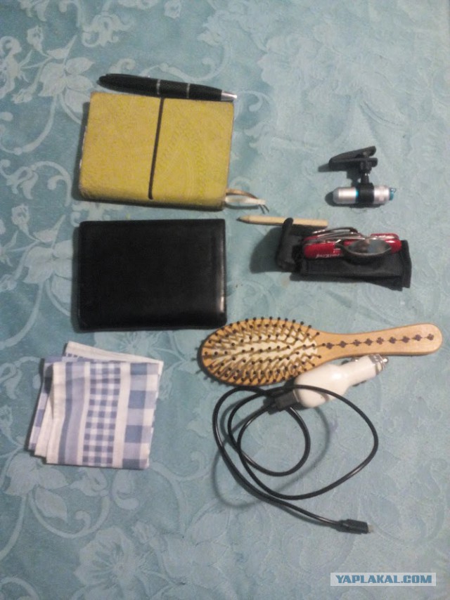 Все свое ношу с собой