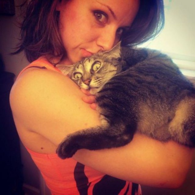 Скотинки - Животинки