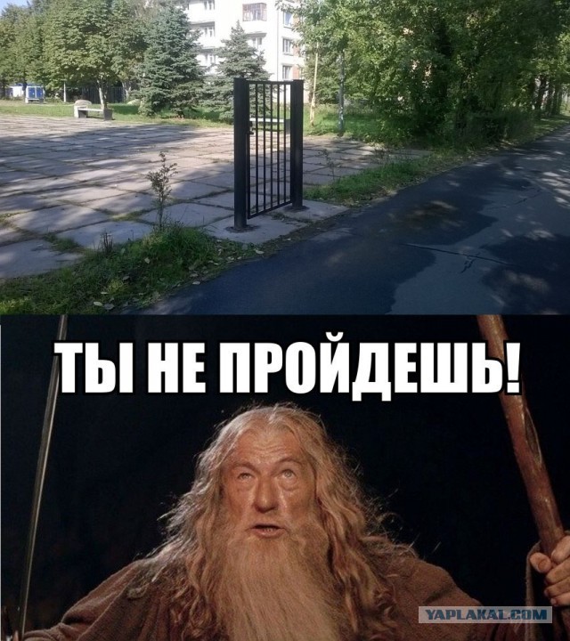 Абстрактный юмор.
