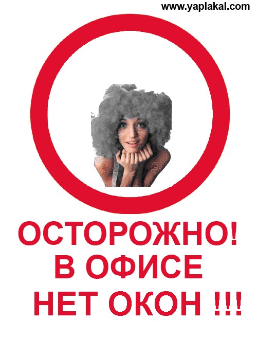 Фотожаба: Осторожно, дятлы в офисе!