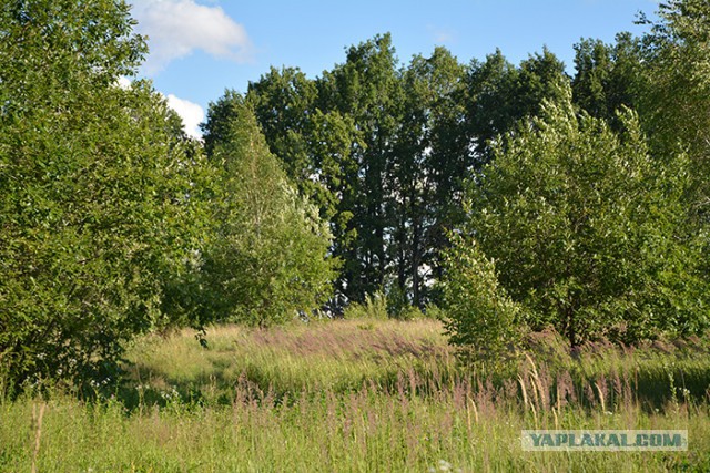 Деревня Девкино. Боровичский район Новгородской области. Фотоподборка.