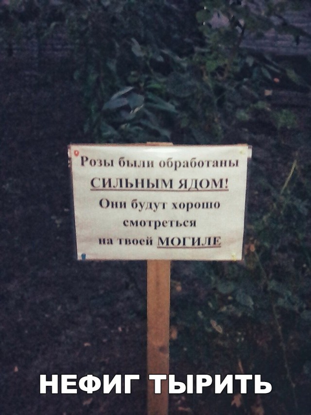 Подборка разного из сети