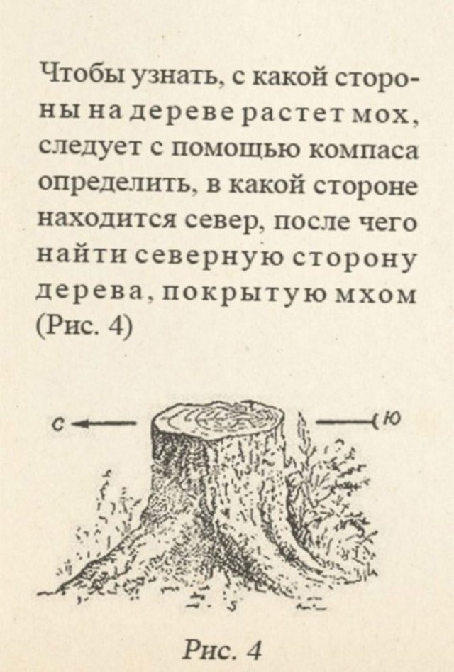 Скоро в школу!
