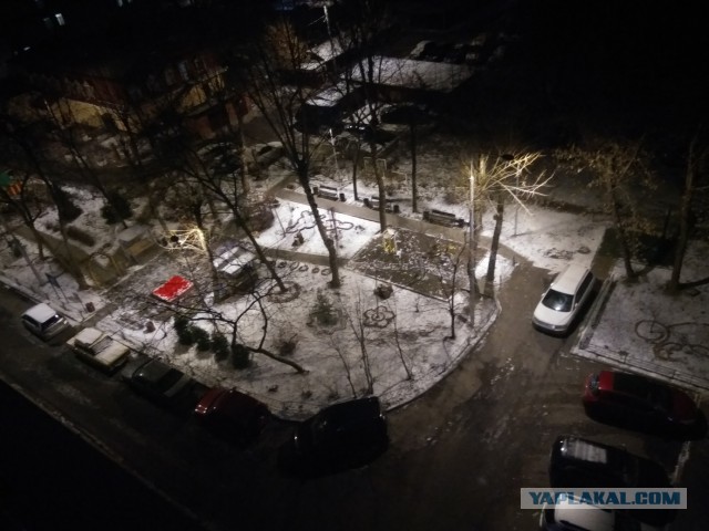 Сегодня, у нас в Териберке...