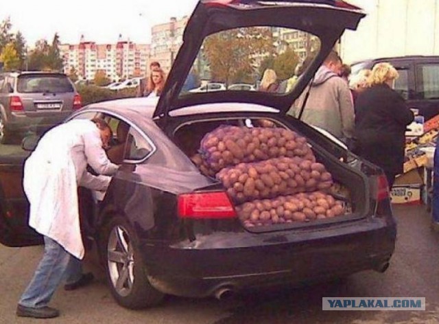 Началось! Картофельная лихорадка стартовала в Беларуси