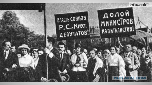 У кого самая дорогая елка на Рублевке?
