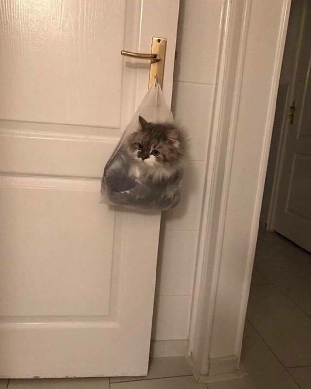 Немного милоты
