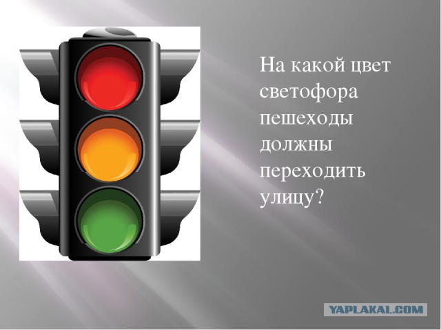 Спас утку с утятами ценой собственной машины