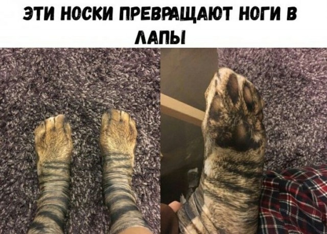 Немного картинок для настроения 05.02.20