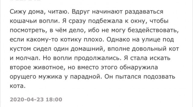 Веселые картинки 29.05.20