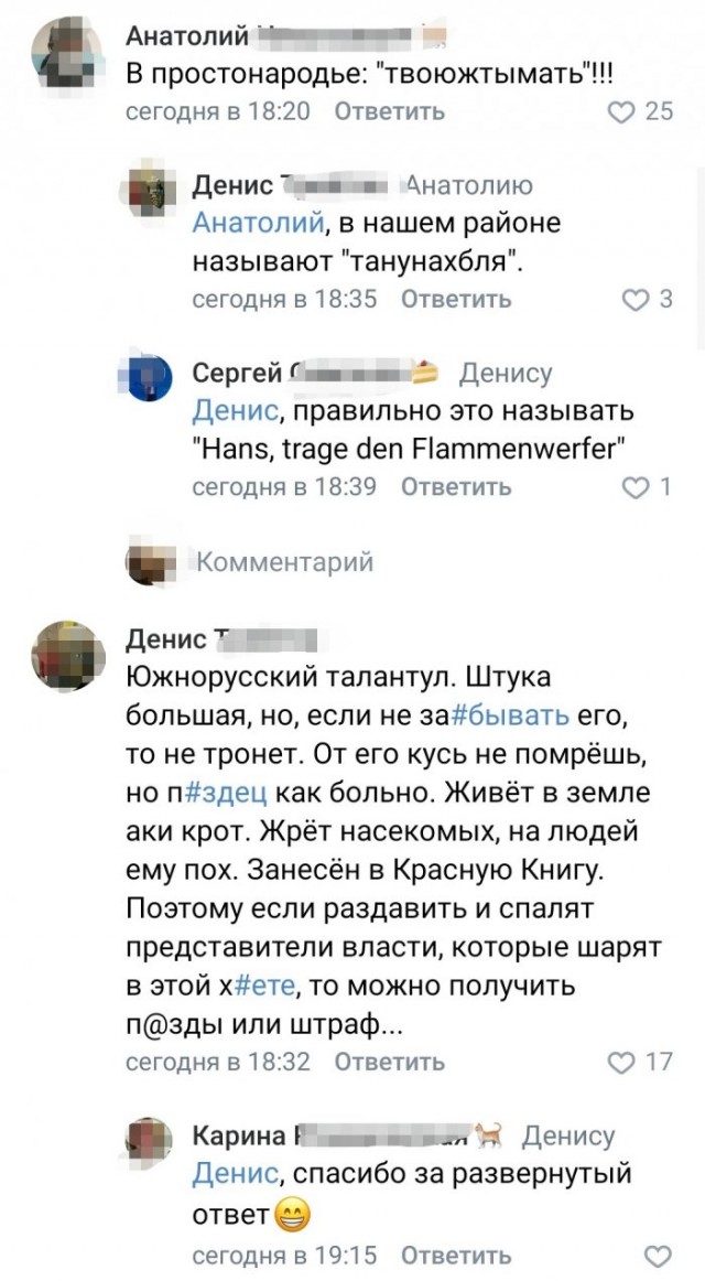 Пожалуй, лучший отзыв на паука