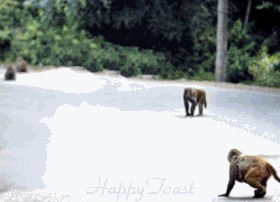 Проспал экзамен!