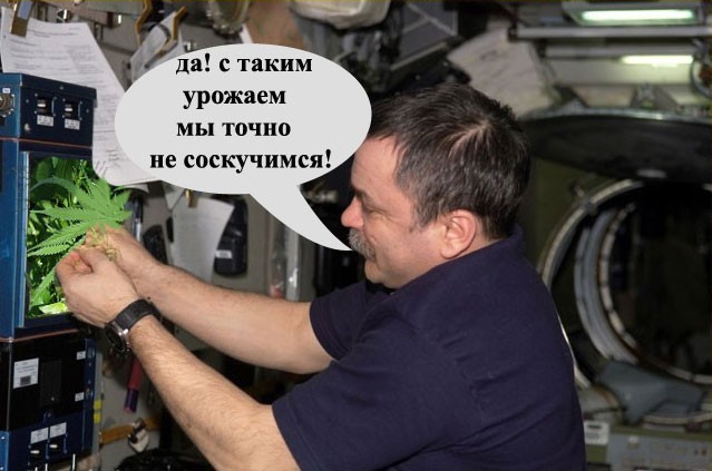 Что бы вы взяли с собой на марс?