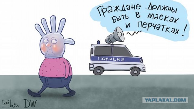 Немного Ёлкина вам в это хмурое воскресенье