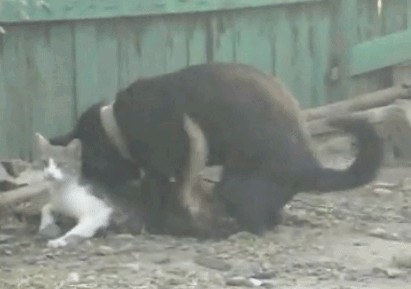 Анюта