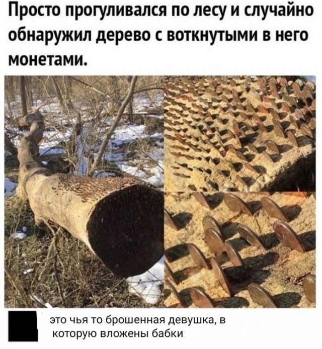 Картинки и мемы для настроения 24.02.2021