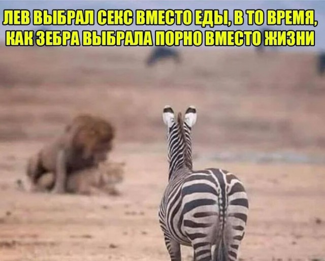 Солянка из картинок разных, для настроения или тупого "втыкания"