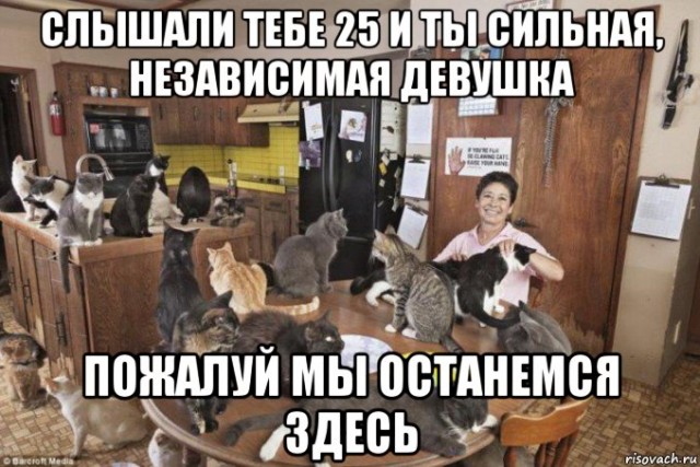 Девушки котовторника