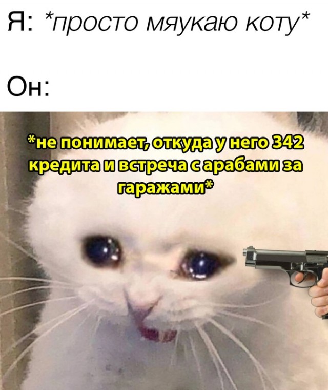 Весёлый полтишок 25.05