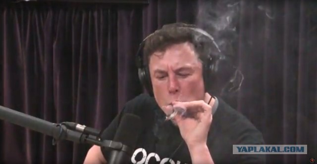 Забавные комментарии из социальных сетей (07.06.21)