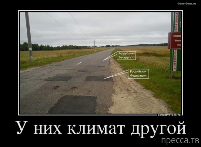 Так себе картинки 24.08.21